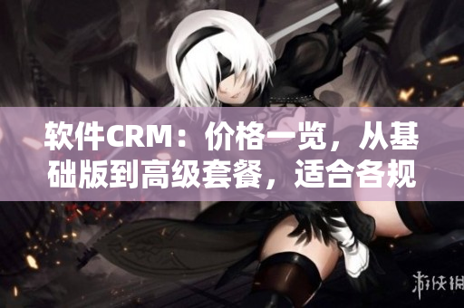 軟件CRM：價(jià)格一覽，從基礎(chǔ)版到高級(jí)套餐，適合各規(guī)模企業(yè)