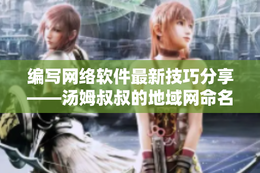 編寫網(wǎng)絡(luò)軟件最新技巧分享——湯姆叔叔的地域網(wǎng)命名心得