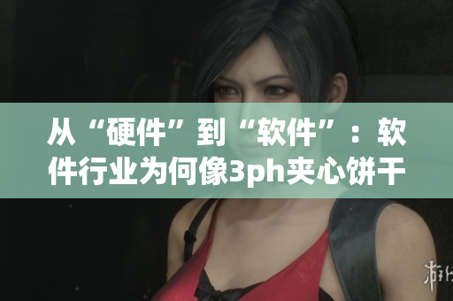從“硬件”到“軟件”：軟件行業(yè)為何像3ph夾心餅干一樣重要？
