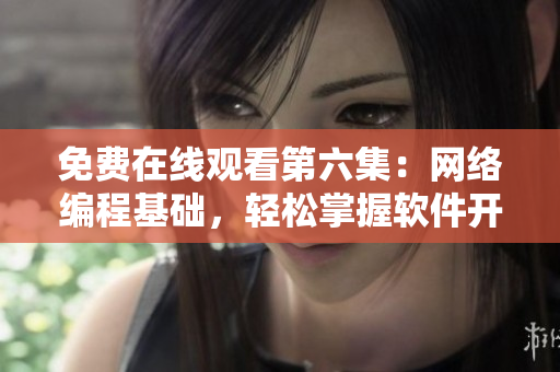 免費(fèi)在線觀看第六集：網(wǎng)絡(luò)編程基礎(chǔ)，輕松掌握軟件開發(fā)技能