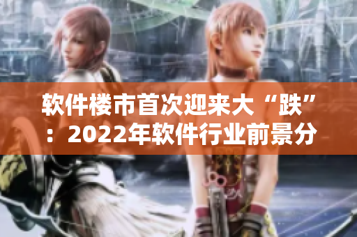 軟件樓市首次迎來(lái)大“跌”：2022年軟件行業(yè)前景分析及趨勢(shì)展望