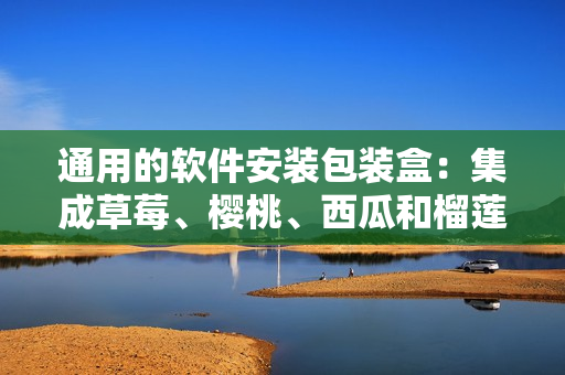 通用的軟件安裝包裝盒：集成草莓、櫻桃、西瓜和榴蓮的多功能一體盒