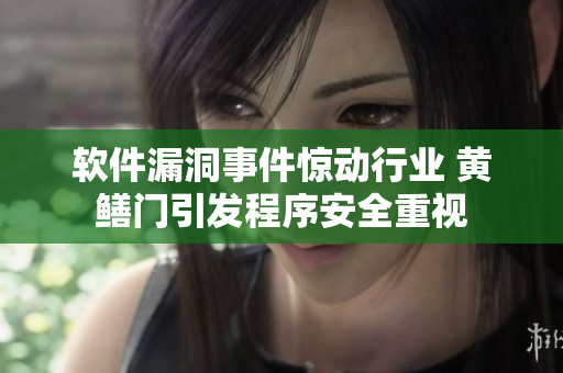 軟件漏洞事件驚動(dòng)行業(yè) 黃鱔門(mén)引發(fā)程序安全重視