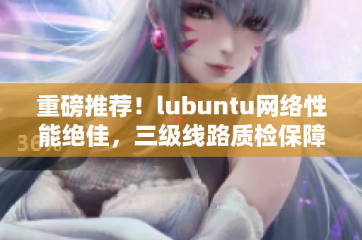 重磅推薦！lubuntu網(wǎng)絡(luò)性能絕佳，三級(jí)線路質(zhì)檢保障軟件暢通無(wú)阻