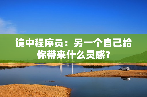 鏡中程序員：另一個(gè)自己給你帶來什么靈感？