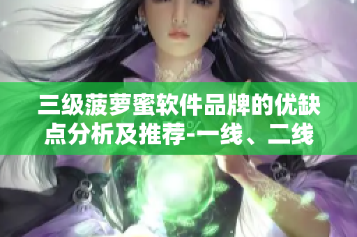 三級菠蘿蜜軟件品牌的優(yōu)缺點分析及推薦-一線、二線、三線軟件品牌對比