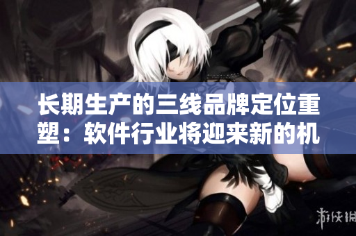 長(zhǎng)期生產(chǎn)的三線品牌定位重塑：軟件行業(yè)將迎來(lái)新的機(jī)遇