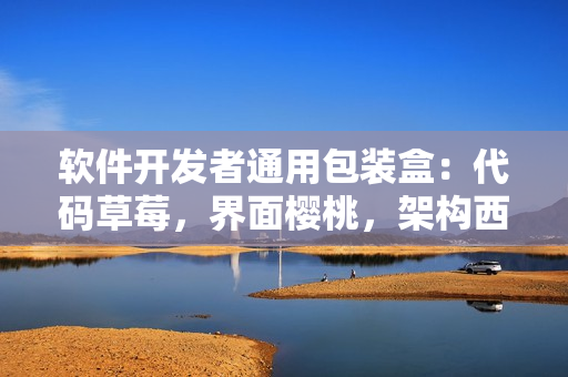 軟件開發(fā)者通用包裝盒：代碼草莓，界面櫻桃，架構(gòu)西瓜，用戶體驗榴蓮
