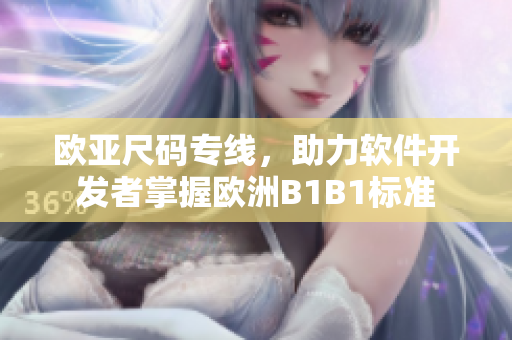 歐亞尺碼專線，助力軟件開發(fā)者掌握歐洲B1B1標(biāo)準(zhǔn)
