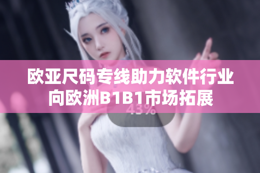 歐亞尺碼專線助力軟件行業(yè)向歐洲B1B1市場(chǎng)拓展