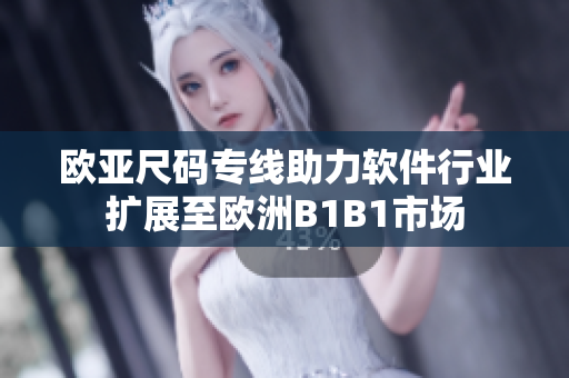 歐亞尺碼專線助力軟件行業(yè)擴(kuò)展至歐洲B1B1市場(chǎng)