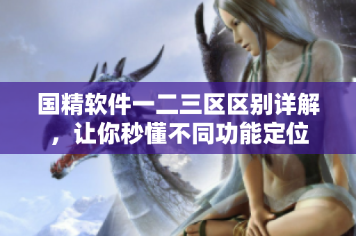 國精軟件一二三區(qū)區(qū)別詳解，讓你秒懂不同功能定位