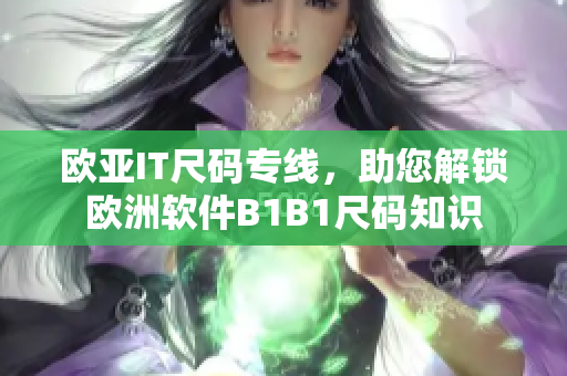 歐亞IT尺碼專線，助您解鎖歐洲軟件B1B1尺碼知識(shí)