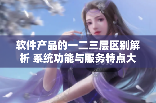 軟件產(chǎn)品的一二三層區(qū)別解析 系統(tǒng)功能與服務特點大揭秘