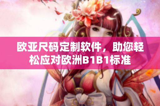 歐亞尺碼定制軟件，助您輕松應(yīng)對(duì)歐洲B1B1標(biāo)準(zhǔn)