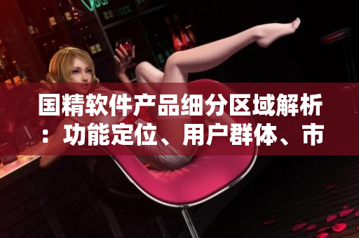 國(guó)精軟件產(chǎn)品細(xì)分區(qū)域解析：功能定位、用戶群體、市場(chǎng)優(yōu)勢(shì)對(duì)比