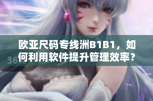 歐亞尺碼專線洲B1B1，如何利用軟件提升管理效率？