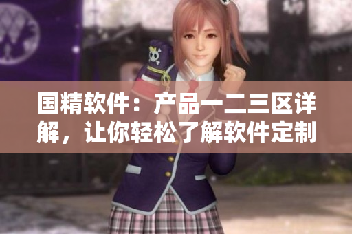 國精軟件：產(chǎn)品一二三區(qū)詳解，讓你輕松了解軟件定制、開發(fā)與優(yōu)化