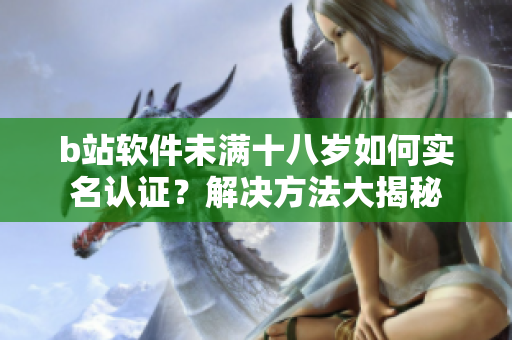 b站軟件未滿(mǎn)十八歲如何實(shí)名認(rèn)證？解決方法大揭秘