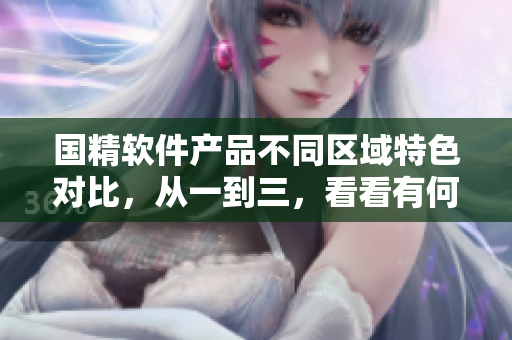 國精軟件產(chǎn)品不同區(qū)域特色對比，從一到三，看看有何區(qū)別