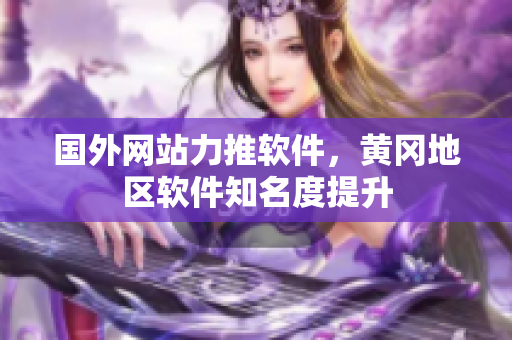 國外網(wǎng)站力推軟件，黃岡地區(qū)軟件知名度提升
