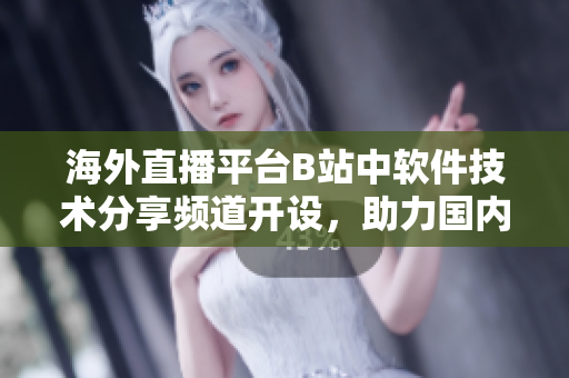 海外直播平臺(tái)B站中軟件技術(shù)分享頻道開設(shè)，助力國內(nèi)程序員成長
