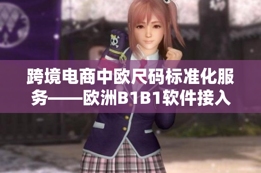 跨境電商中歐尺碼標(biāo)準(zhǔn)化服務(wù)——?dú)W洲B1B1軟件接入業(yè)務(wù)