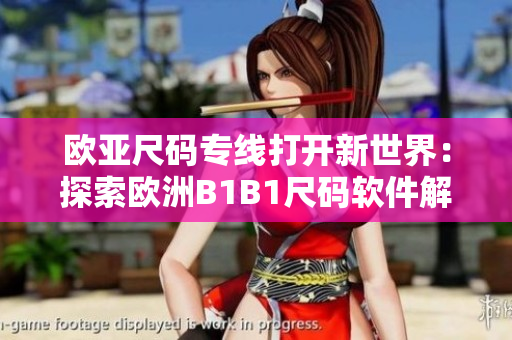 歐亞尺碼專(zhuān)線打開(kāi)新世界：探索歐洲B1B1尺碼軟件解決方案