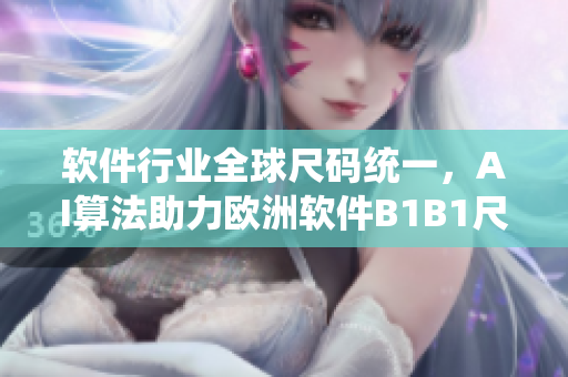 軟件行業(yè)全球尺碼統(tǒng)一，AI算法助力歐洲軟件B1B1尺碼管理