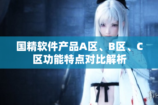 國精軟件產(chǎn)品A區(qū)、B區(qū)、C區(qū)功能特點(diǎn)對比解析