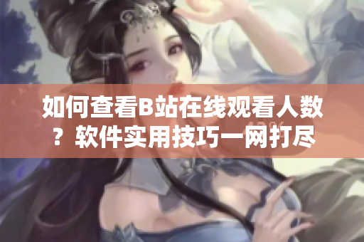 如何查看B站在線觀看人數(shù)？軟件實(shí)用技巧一網(wǎng)打盡