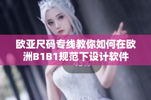 歐亞尺碼專(zhuān)線(xiàn)教你如何在歐洲B1B1規(guī)范下設(shè)計(jì)軟件