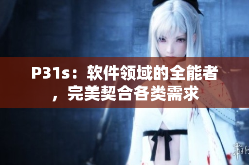 P31s：軟件領(lǐng)域的全能者，完美契合各類需求