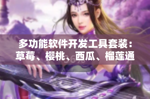 多功能軟件開(kāi)發(fā)工具套裝：草莓、櫻桃、西瓜、榴蓮?fù)ㄓ冒b盒