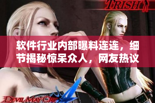 軟件行業(yè)內部曝料連連，細節(jié)揭秘驚呆眾人，網(wǎng)友熱議不停