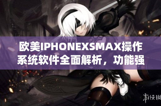 歐美IPHONEXSMAX操作系統(tǒng)軟件全面解析，功能強(qiáng)大體驗(yàn)卓越
