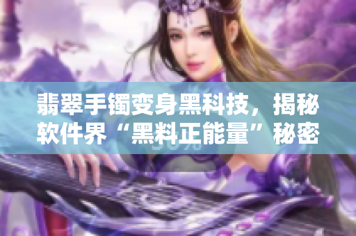 翡翠手鐲變身黑科技，揭秘軟件界“黑料正能量”秘密【軟件愛好者必讀】