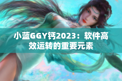 小藍GGY鈣2023：軟件高效運轉(zhuǎn)的重要元素
