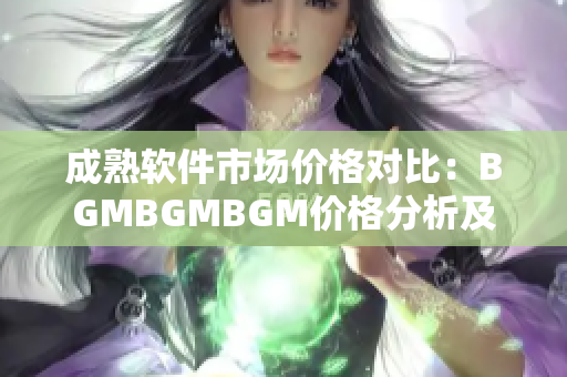 成熟軟件市場(chǎng)價(jià)格對(duì)比：BGMBGMBGM價(jià)格分析及選擇指南