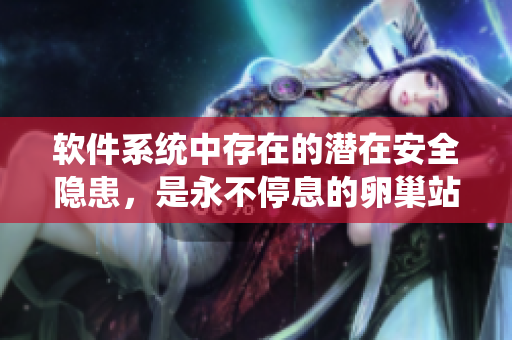 軟件系統(tǒng)中存在的潛在安全隱患，是永不停息的卵巢站