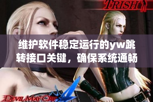 維護軟件穩(wěn)定運行的yw跳轉(zhuǎn)接口關(guān)鍵，確保系統(tǒng)通暢連接