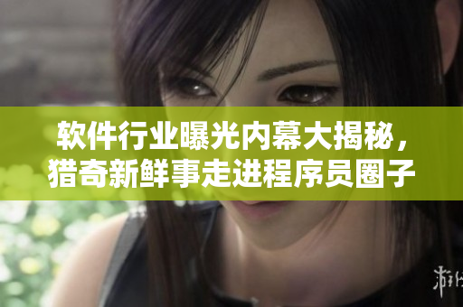 軟件行業(yè)曝光內(nèi)幕大揭秘，獵奇新鮮事走進程序員圈子