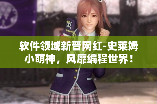 軟件領(lǐng)域新晉網(wǎng)紅-史萊姆小萌神，風(fēng)靡編程世界！