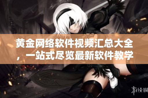 黃金網(wǎng)絡(luò)軟件視頻匯總大全，一站式盡覽最新軟件教學(xué)操作技巧