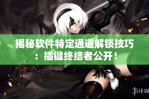 揭秘軟件特定通道解鎖技巧：插鍵終結者公開！