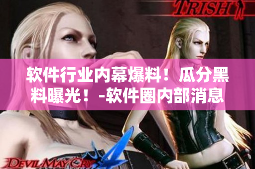 軟件行業(yè)內(nèi)幕爆料！瓜分黑料曝光！-軟件圈內(nèi)部消息揭秘