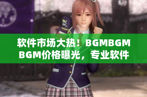 軟件市場大熱！BGMBGMBGM價格曝光，專業(yè)軟件價格實探