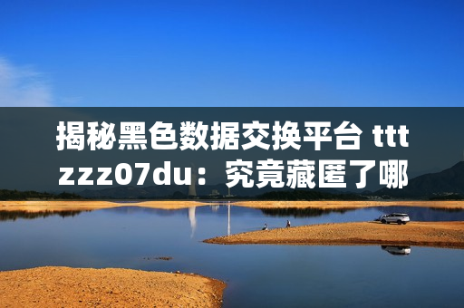 揭秘黑色數(shù)據(jù)交換平臺(tái) tttzzz07du：究竟藏匿了哪些軟件秘辛？