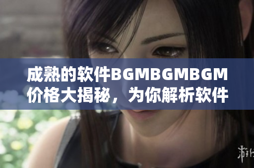 成熟的軟件BGMBGMBGM價(jià)格大揭秘，為你解析軟件背后的價(jià)值