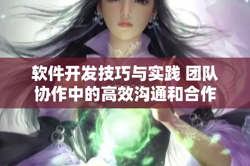 軟件開發(fā)技巧與實踐 團(tuán)隊協(xié)作中的高效溝通和合作